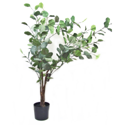 Drzewko dekoracyjne Eukaliptus w doniczce 115cm